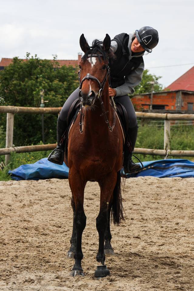 TAZ - 5ans - 1m68