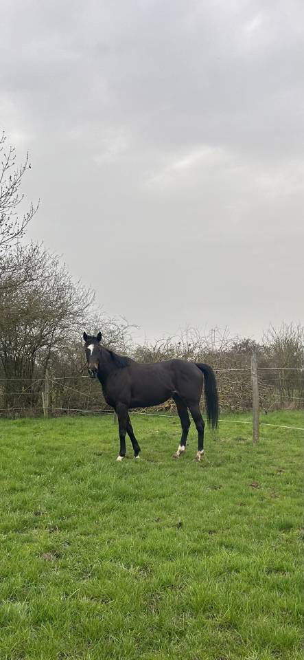 PENNY - 8ans - 1m64
