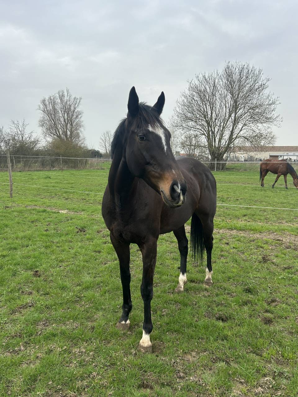 PENNY - 8ans - 1m64