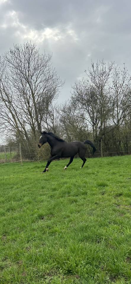 PENNY - 8ans - 1m64