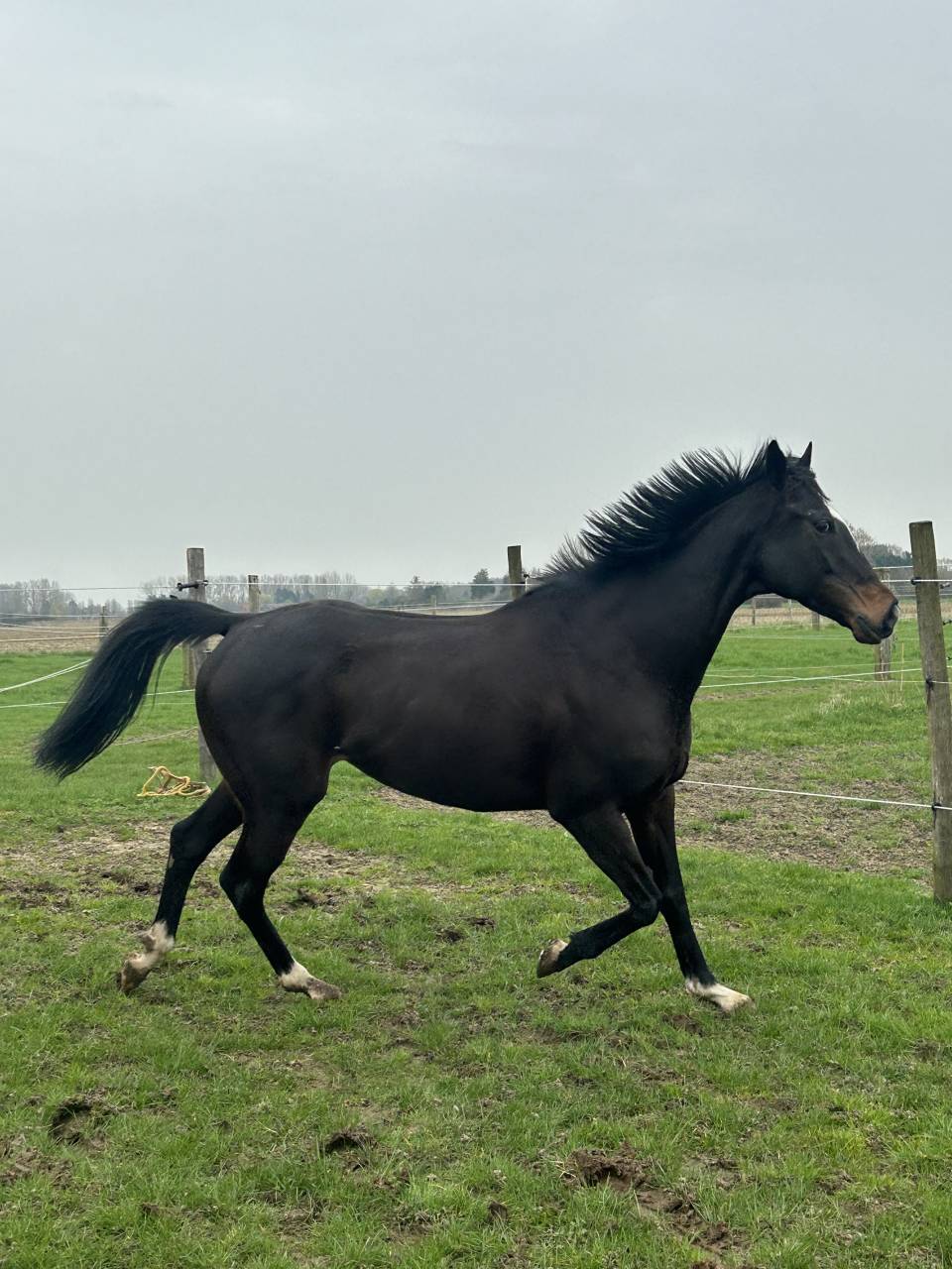 PENNY - 8ans - 1m64