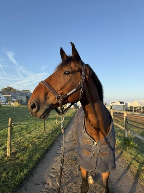 A VENDRE - EBHAR SF de 12 ans
