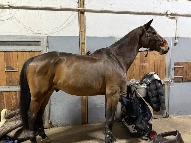 A VENDRE - EBHAR SF de 12 ans