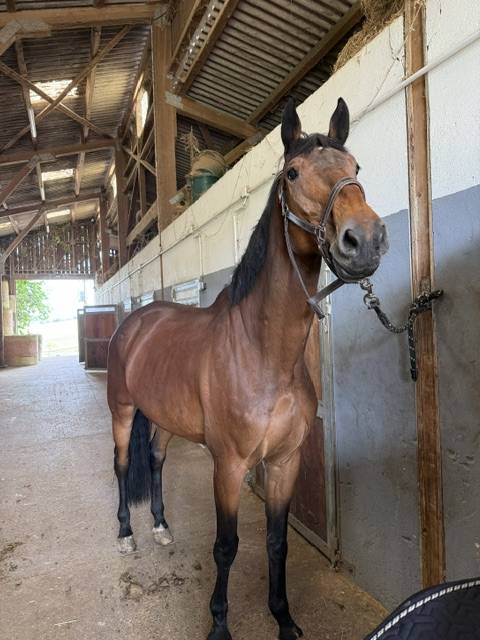 A VENDRE - EBHAR SF de 12 ans