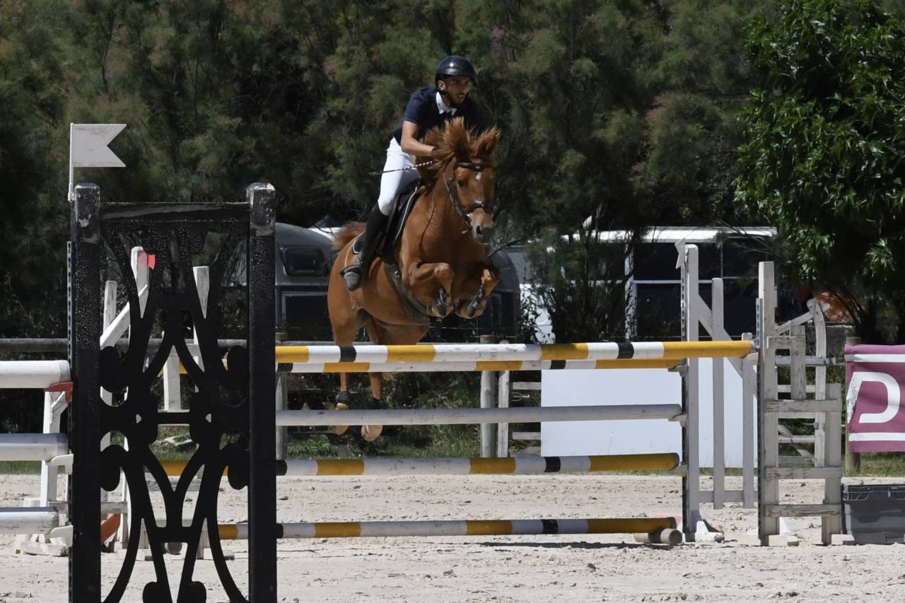 Vente poney de sport