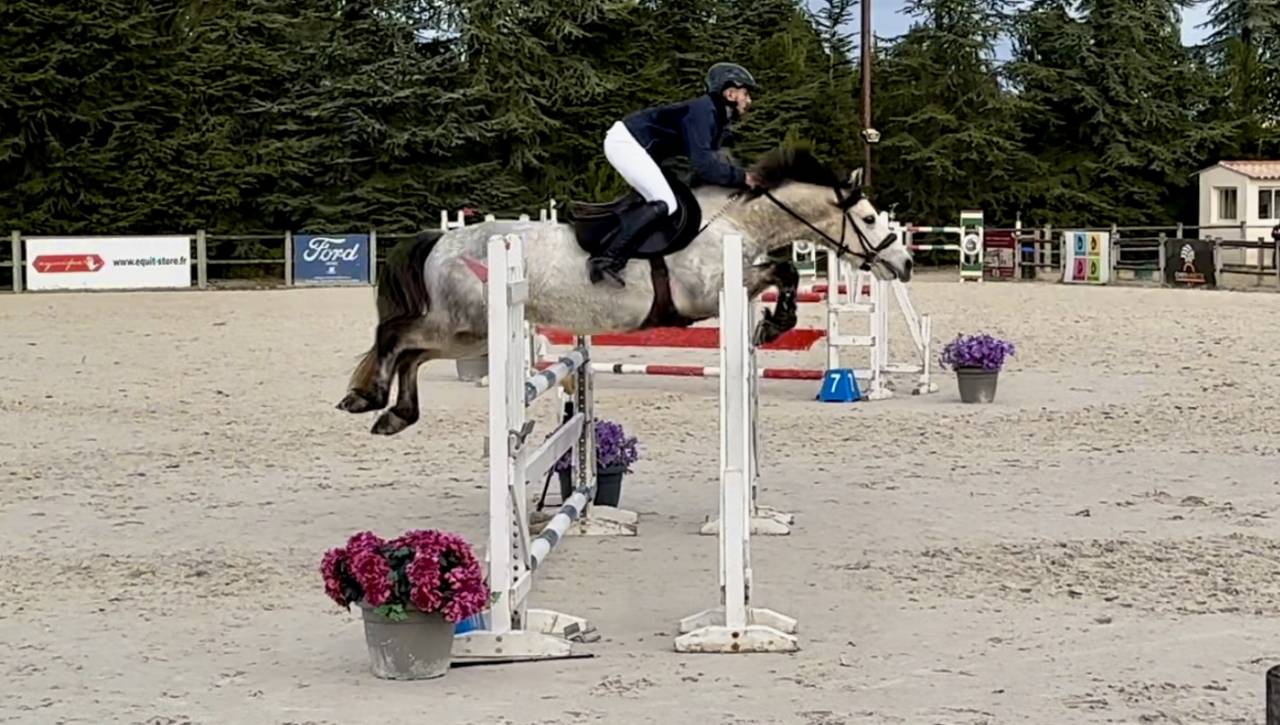 Poney de sport &agrave; vendre 