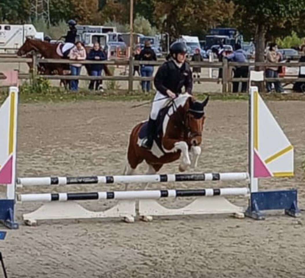 Ponette B pottock plein papier 