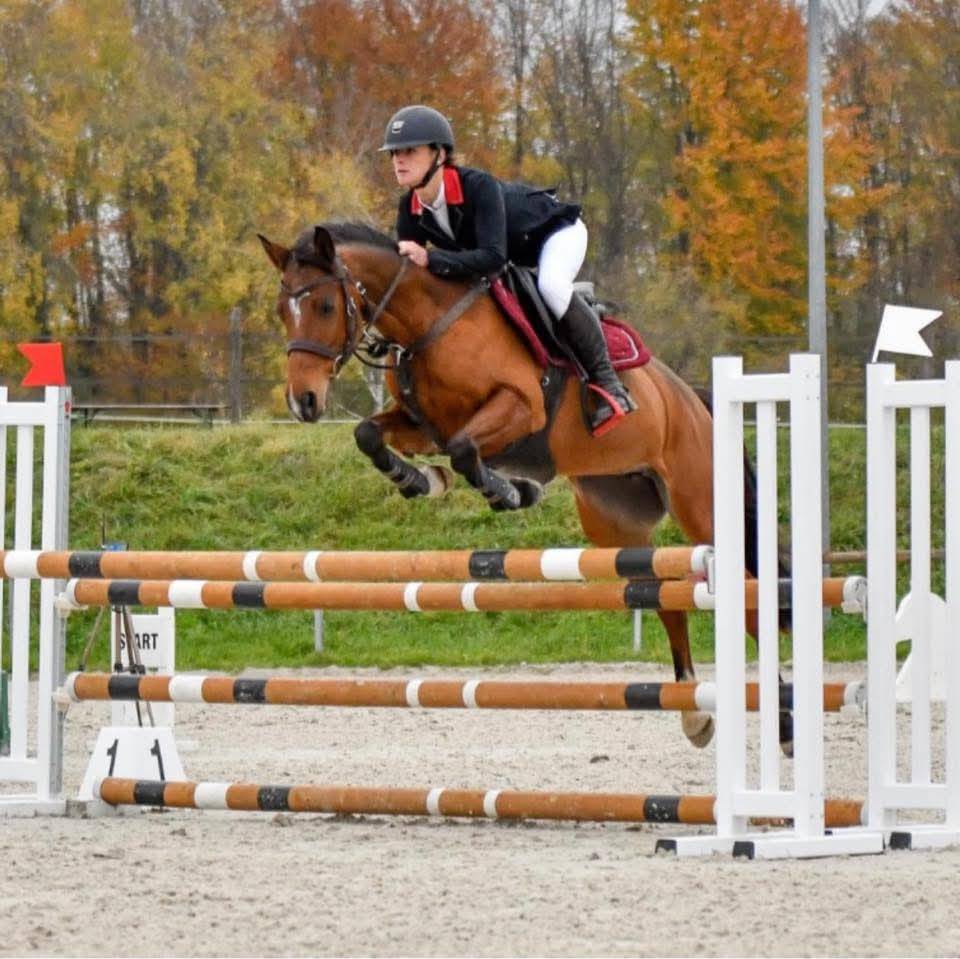 Jolie ponette pour repro et/compagnie