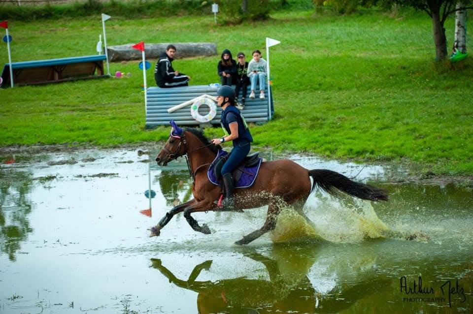 Jolie ponette pour repro et/compagnie