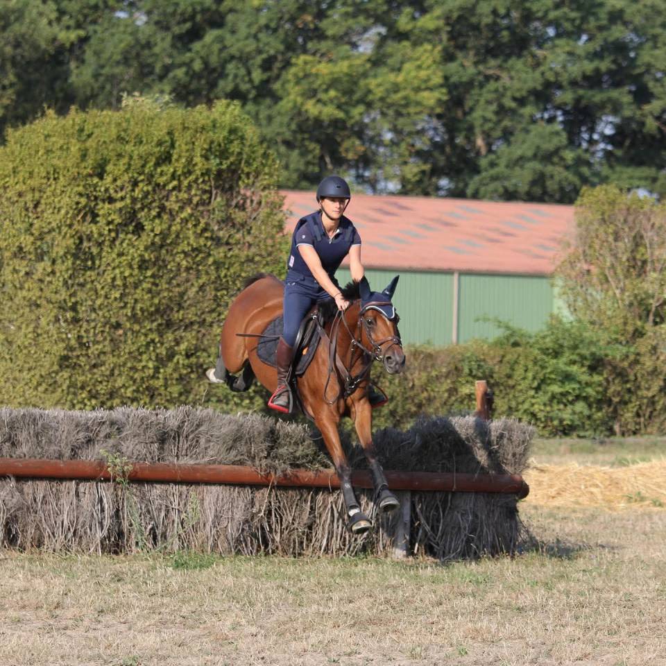 Jolie ponette pour repro et/compagnie