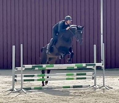 Magnifique, Jument, 8 ans, +-1m64, bwp
