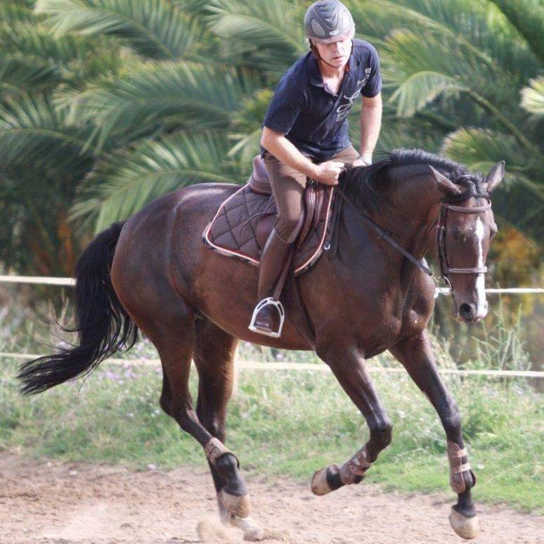 Cheval &agrave; donner ( 200&euro; pour la validation)