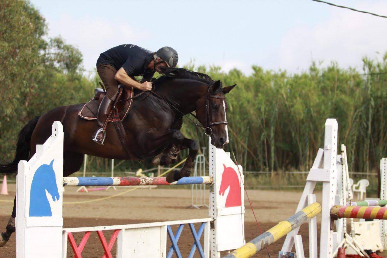 Cheval &agrave; donner ( 200&euro; pour la validation)