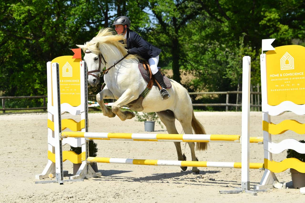 Connemara femelle 9 ans