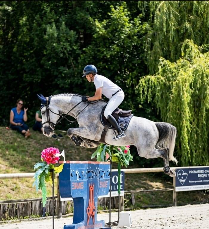 Hongre de 7ans performer Gp 1m40