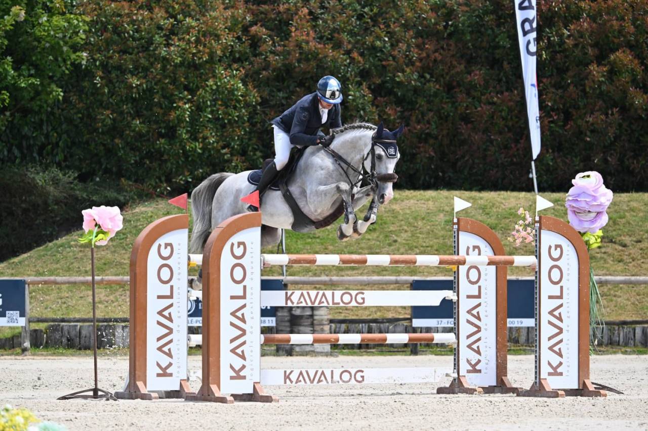 Hongre de 7ans performer Gp 1m40