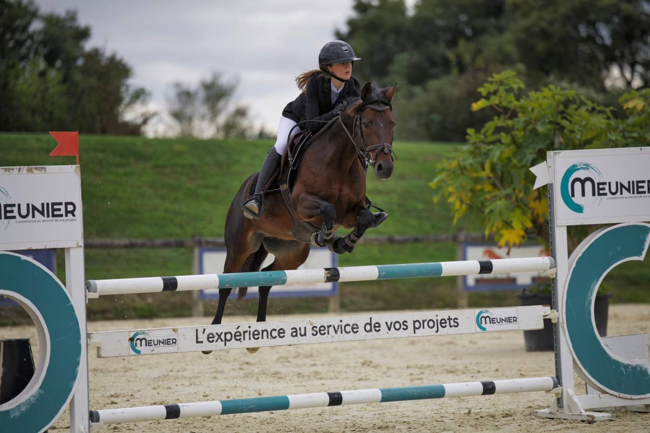 A louer Glam Star du Vassal