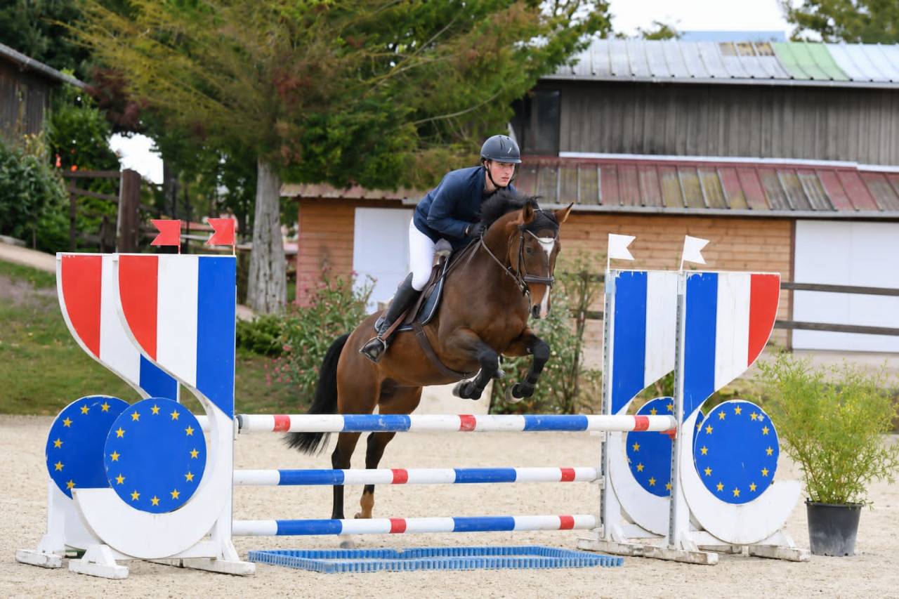 Jolie jument 6 ans 1.54m