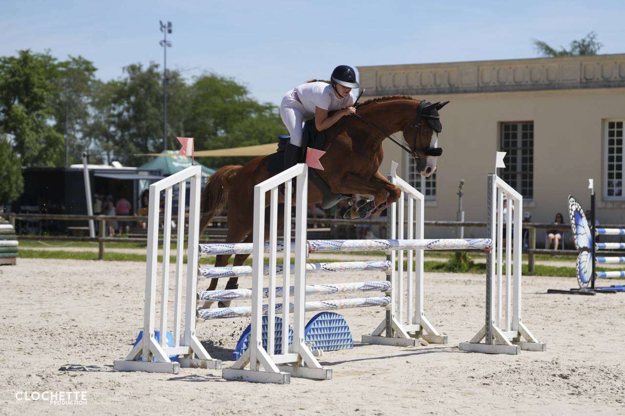 Cheval CCE/CSO/loisir 