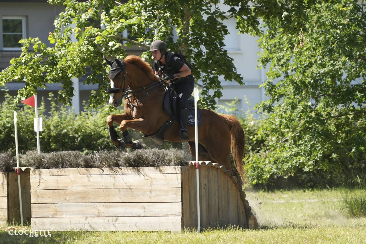 Cheval CCE/CSO/loisir 