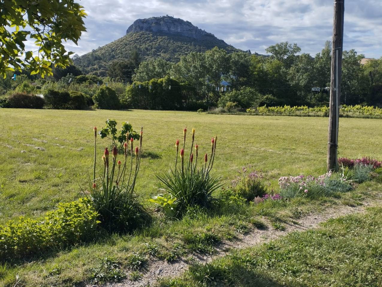 Propri&eacute;t&eacute; rurale - 1,43 ha &ndash; forage &ndash; id&eacute;al chevaux
