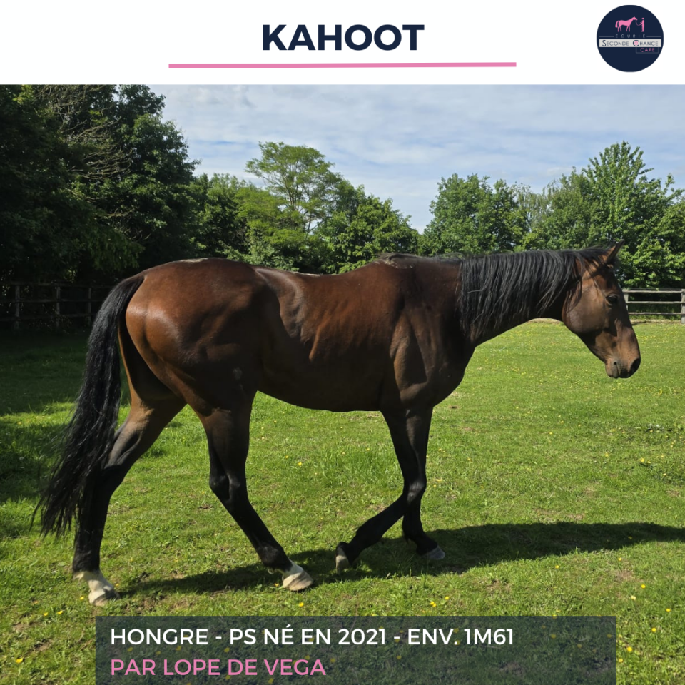 KAHOOT - PS - 5 ANS