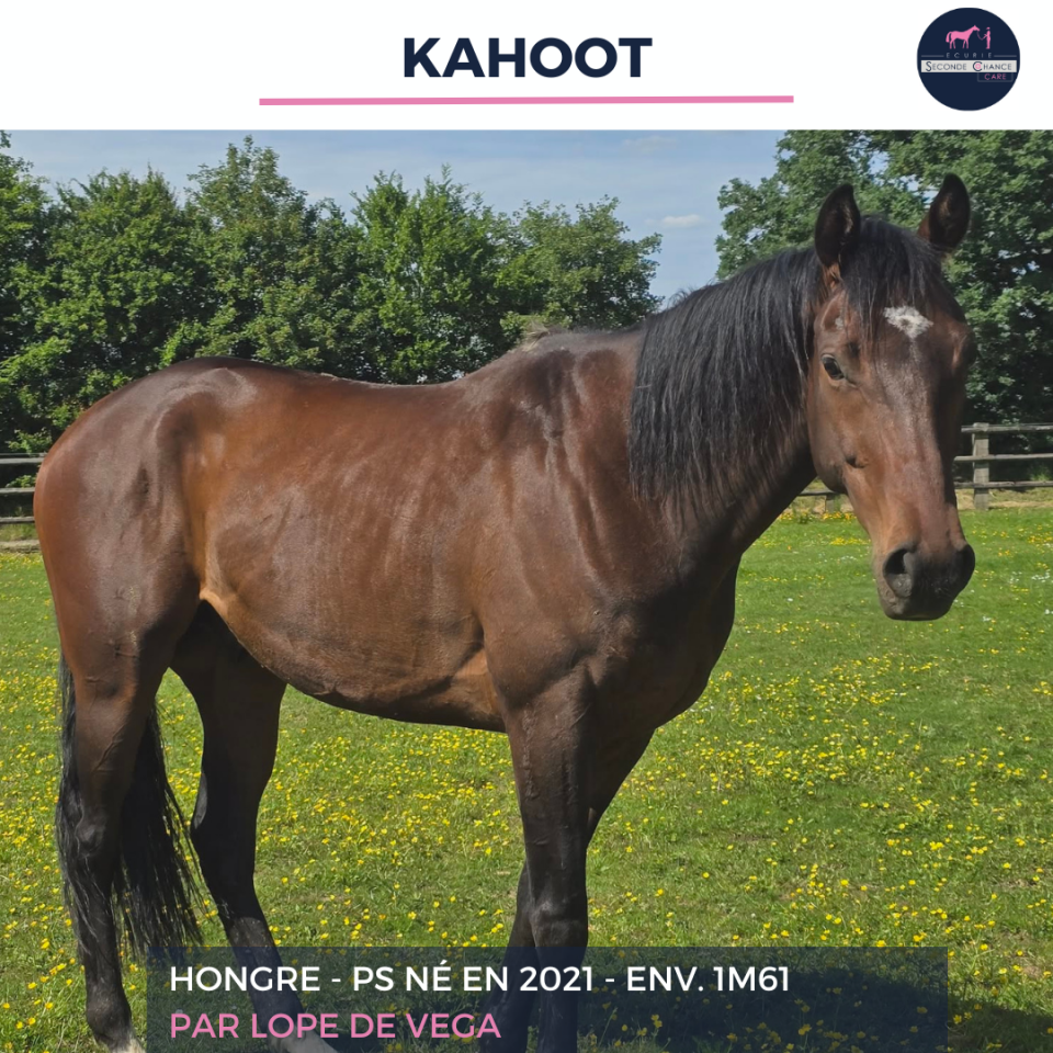 KAHOOT - PS - 5 ANS