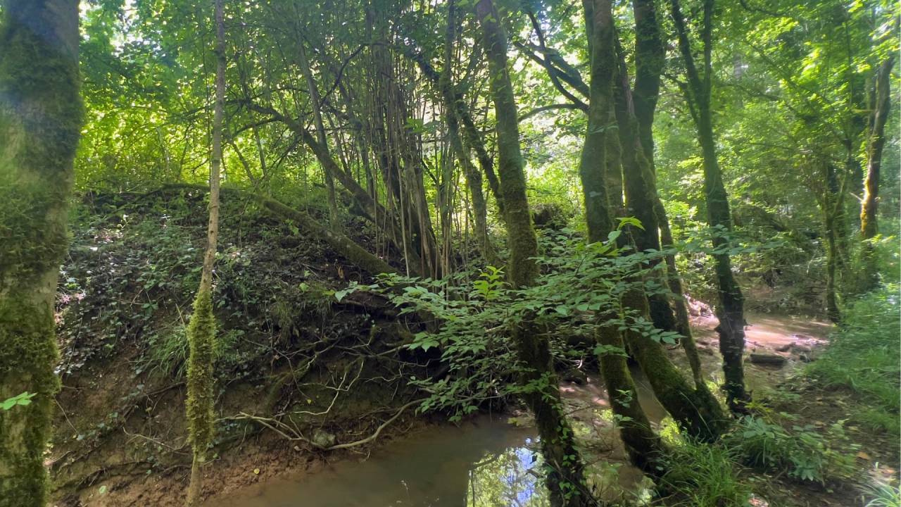 Somptueuse propri&eacute;t&eacute; &agrave; fort potentiel (12)