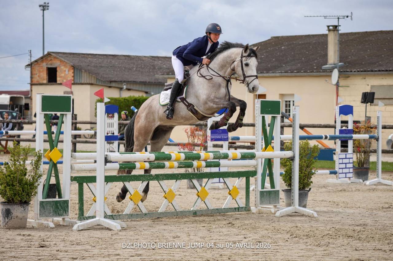 Vente cheval 5 ans CSO