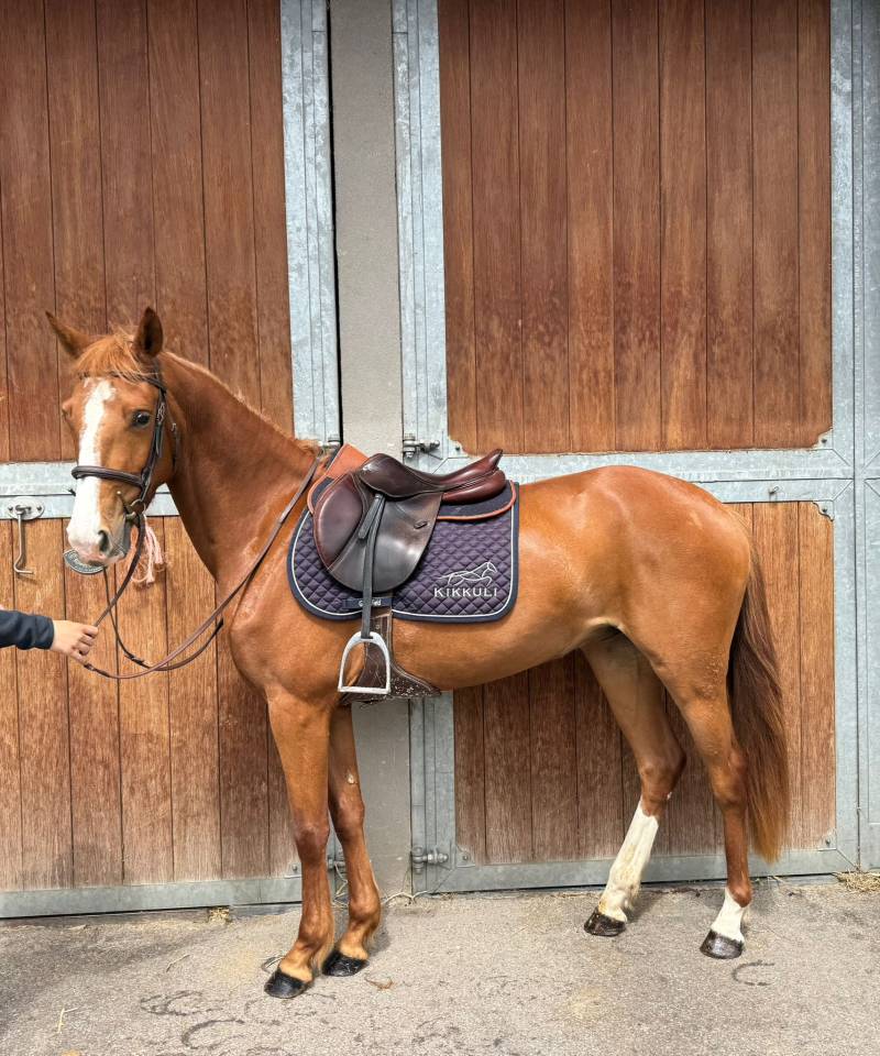 Ponette sport 4 ans D