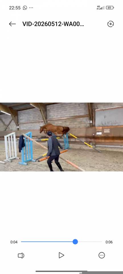 Ponette sport 4 ans D