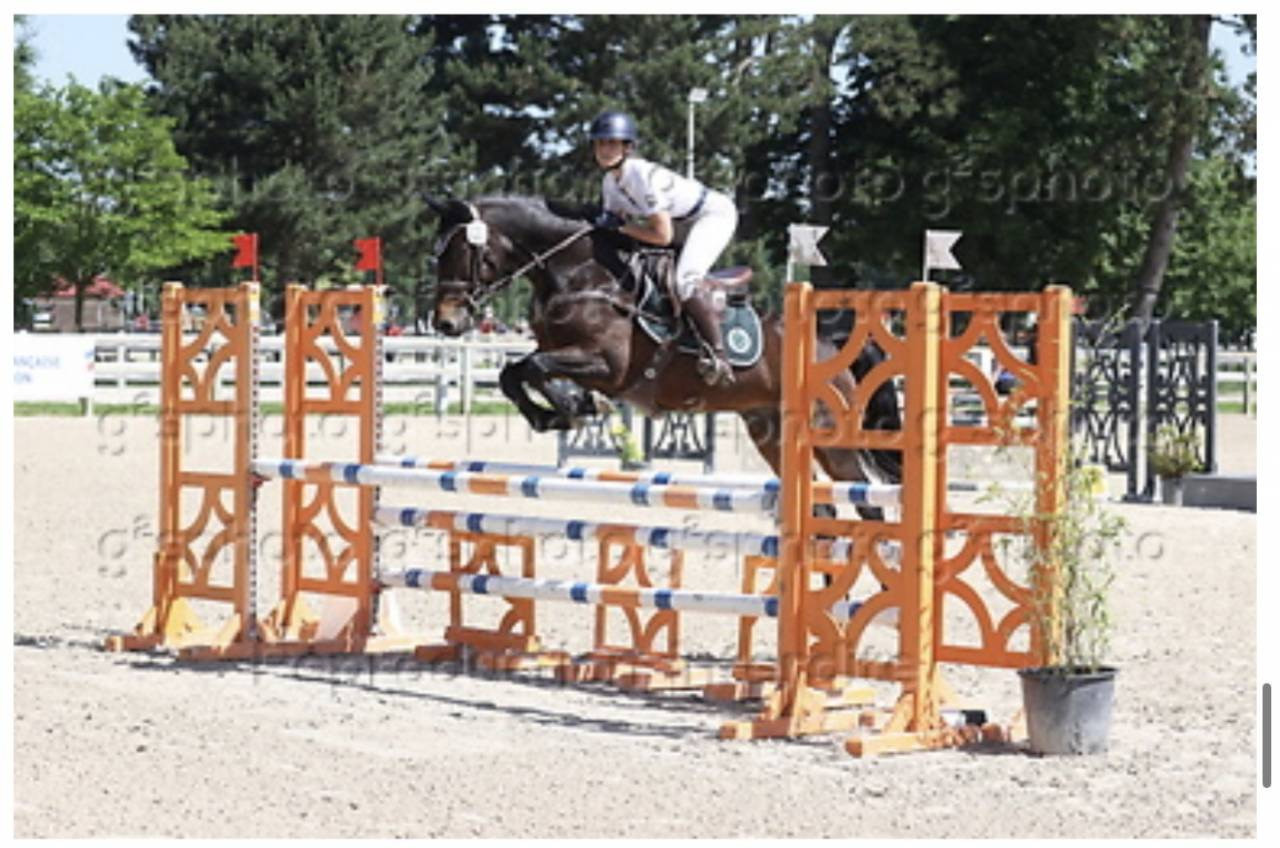 Cheval &agrave; vendre