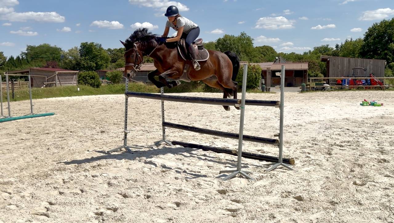 Cheval &agrave; vendre