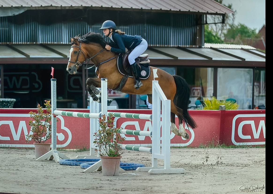 Cheval 