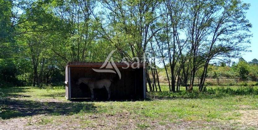 Aux portes de Bordeaux : une propri&eacute;t&eacute; &eacute;questre rare o&ugrave; natu