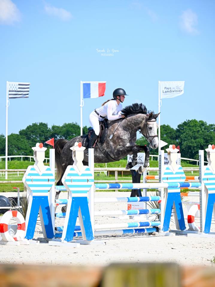 Foal male Check in x Chacon Blue sur la souche de Jumpy