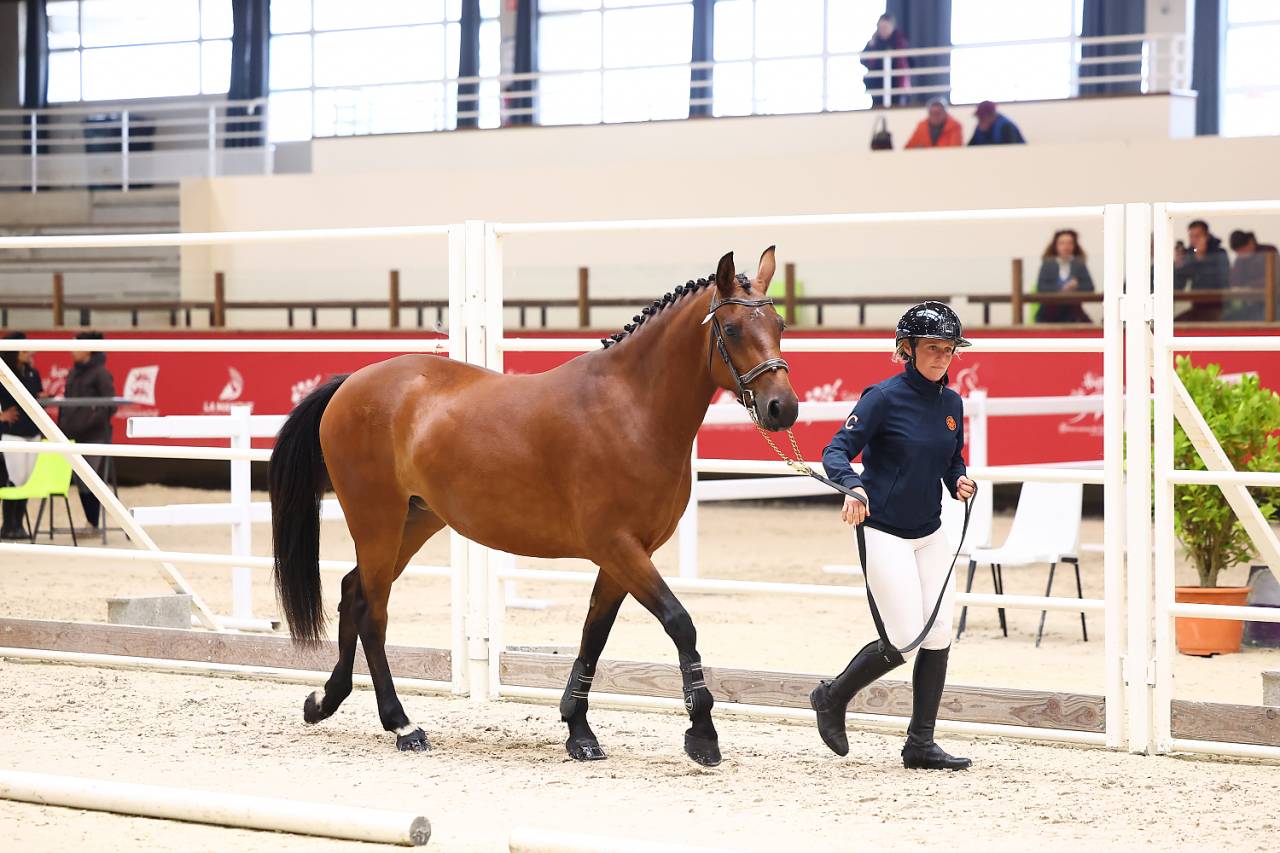 Ponette PFS 3 ans 