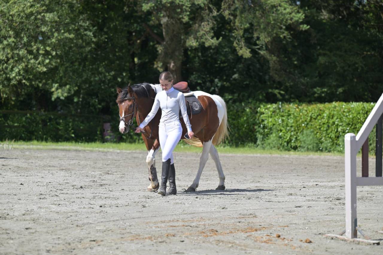Jument Zangersheide CSO 5ans