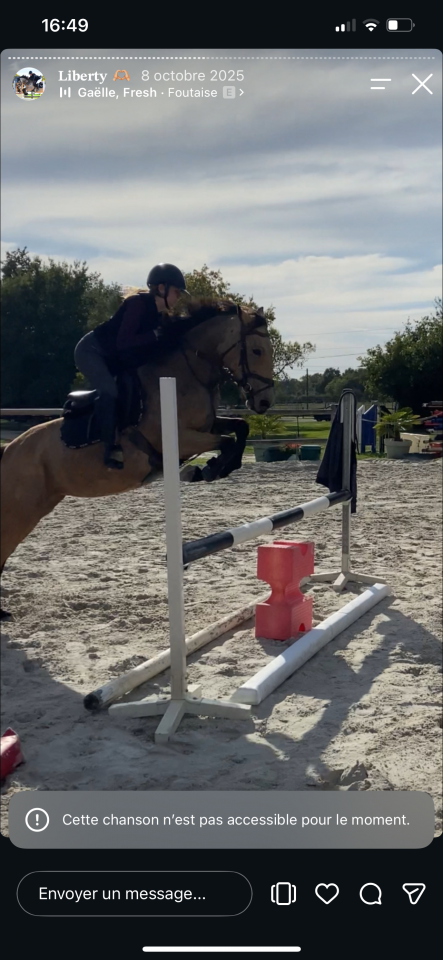 Top ponette PFS 