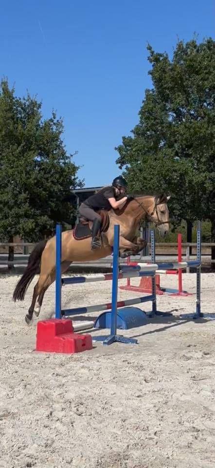 Top ponette PFS 
