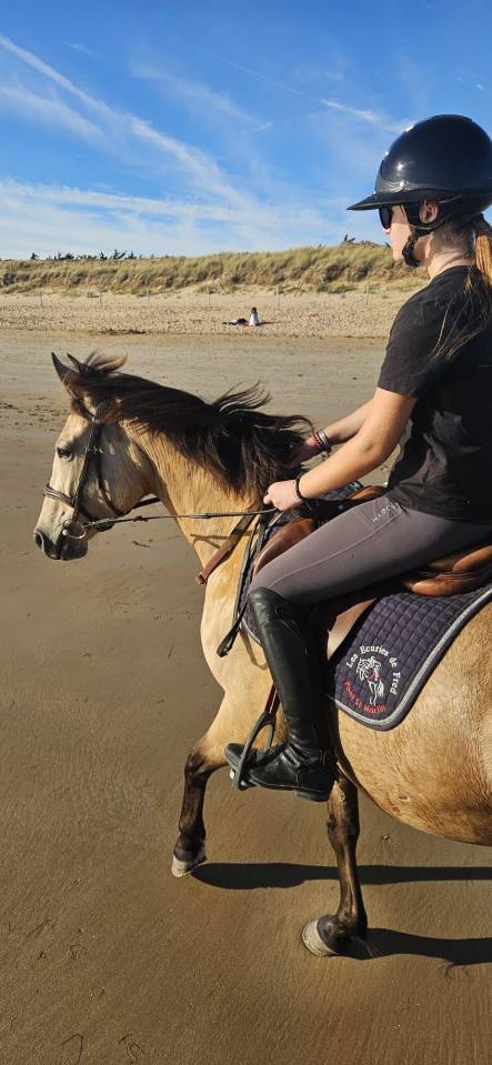 Top ponette PFS 