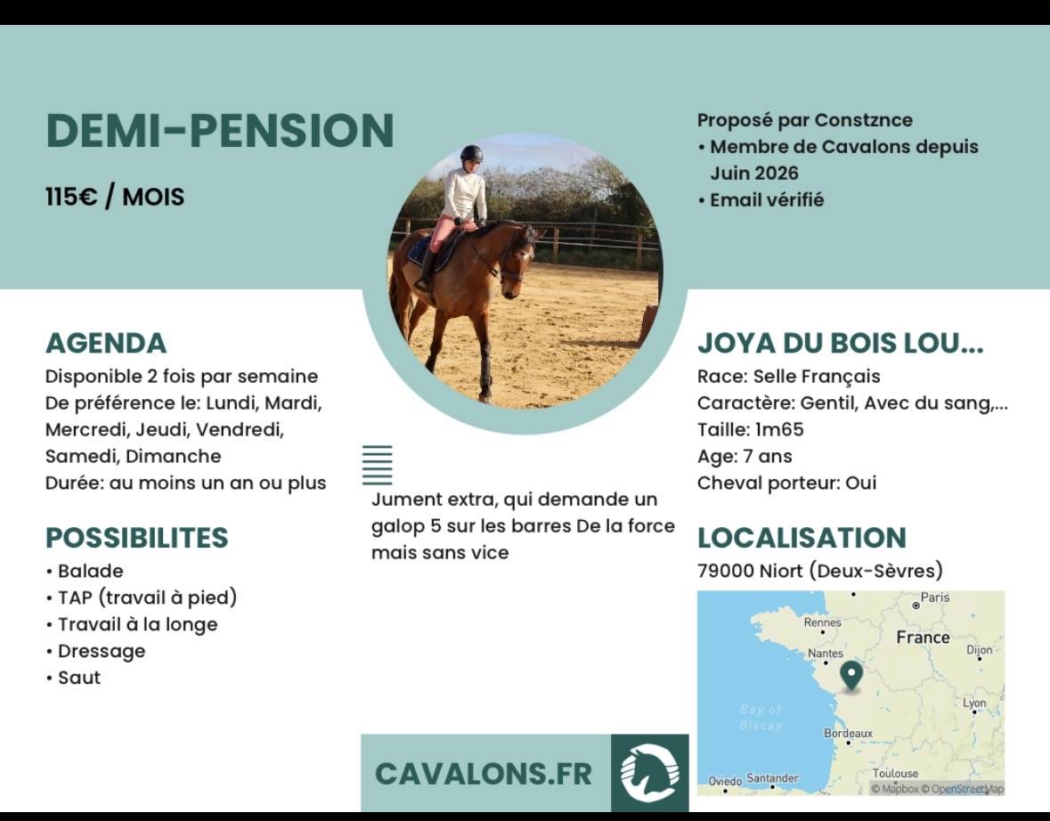 Demi pension 