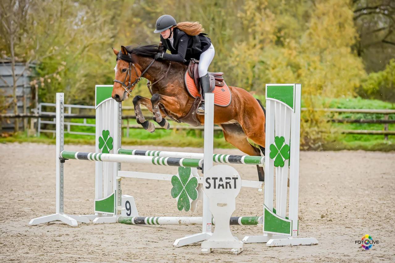 Ponette D CSO 9ans pour gagner tous les week ends