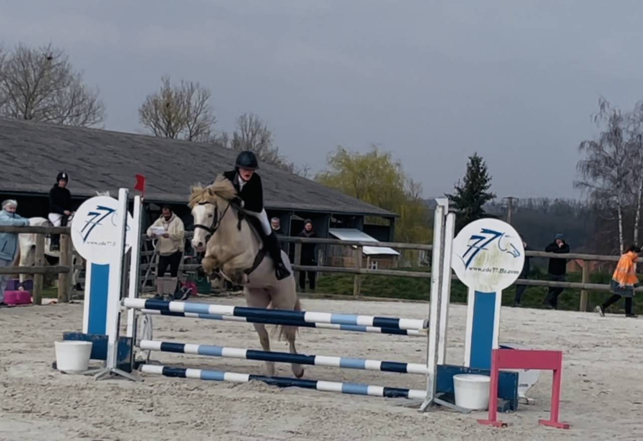 Superbe ponette 1m40