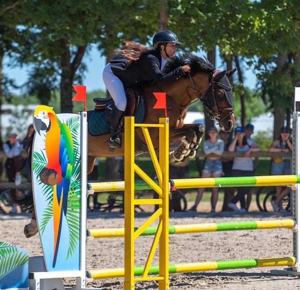 Poney de loisir exp&eacute;riment&eacute;