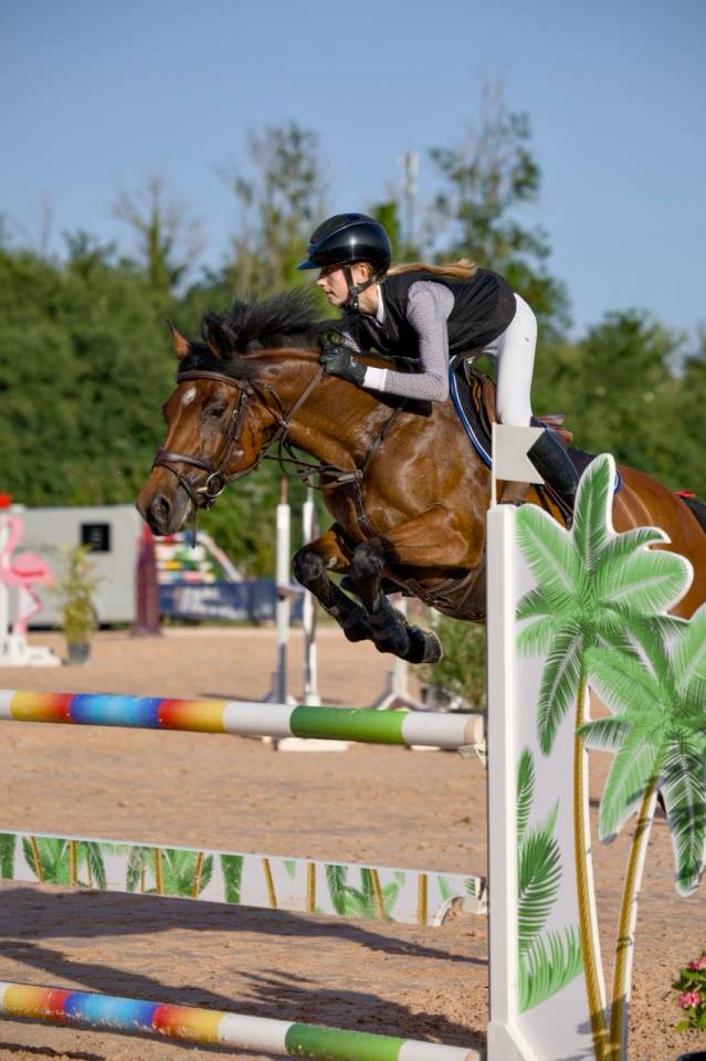 Poney de CSO performant &agrave; vendre 