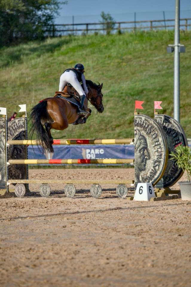 Poney de CSO performant &agrave; vendre 