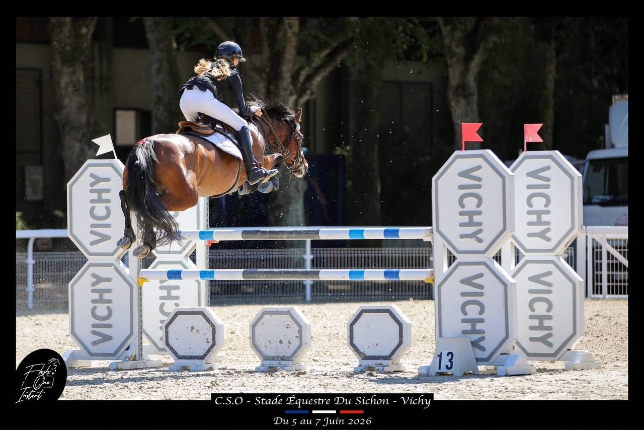 Poney de CSO performant &agrave; vendre 