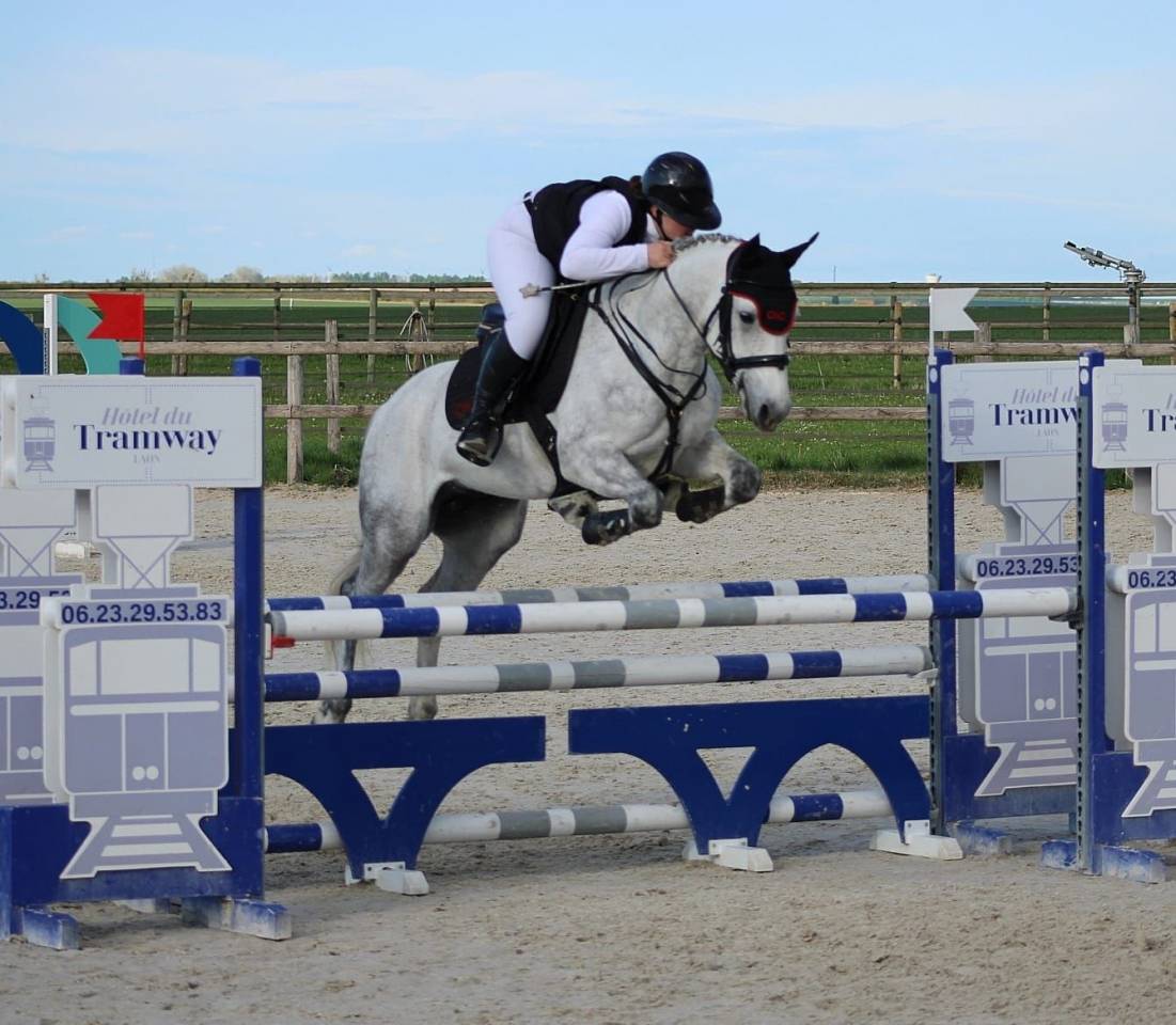 PONEY D sport 