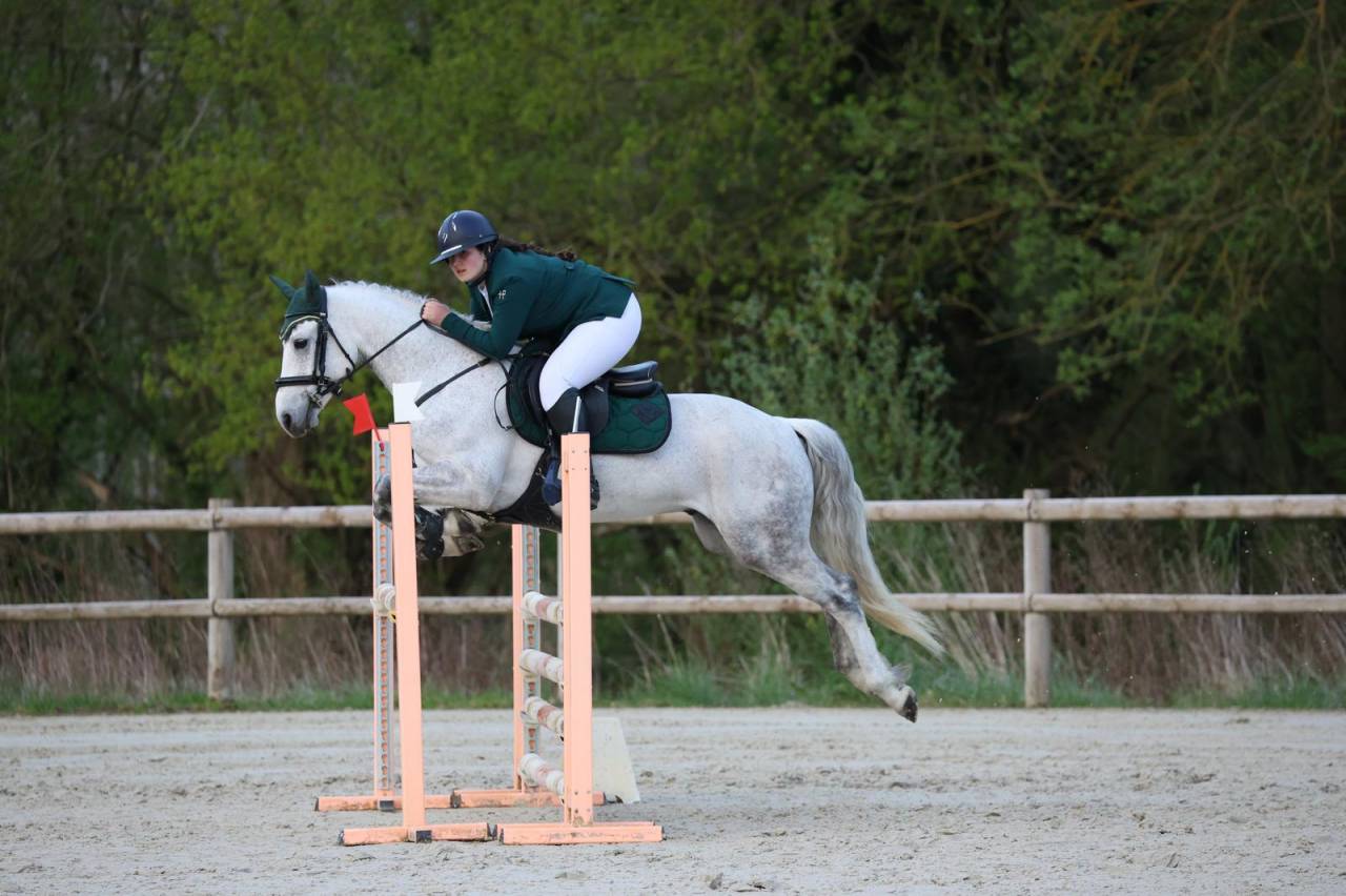 PONEY D sport 